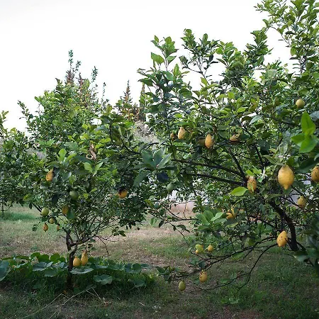 La Carcara Feriegård Otranto