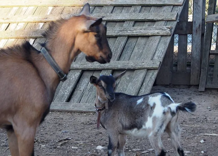La Carcara Vakantieboerderij Otranto