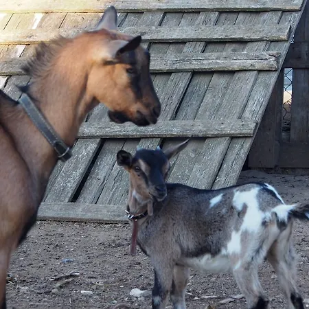 La Carcara Vakantieboerderij Otranto