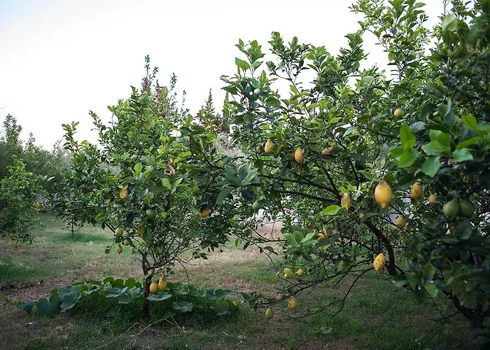 La Carcara Farm stay Otranto